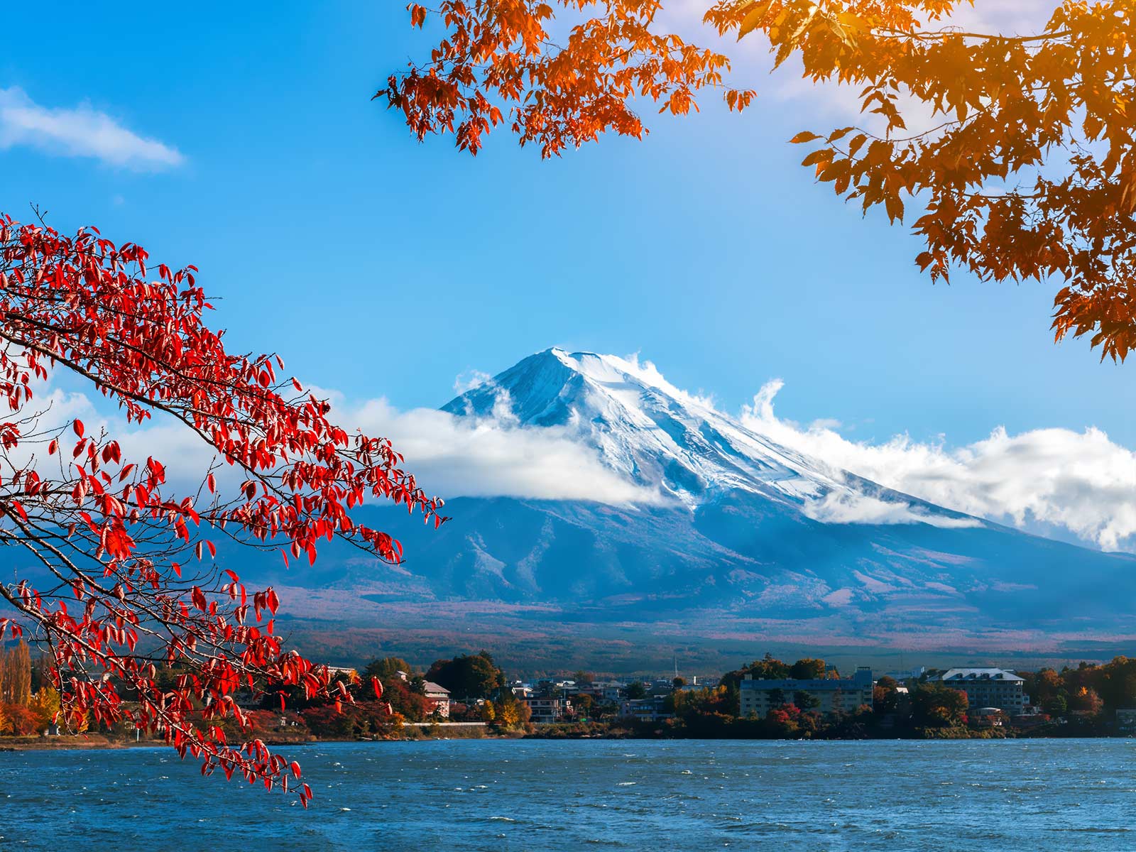 秋の富士山