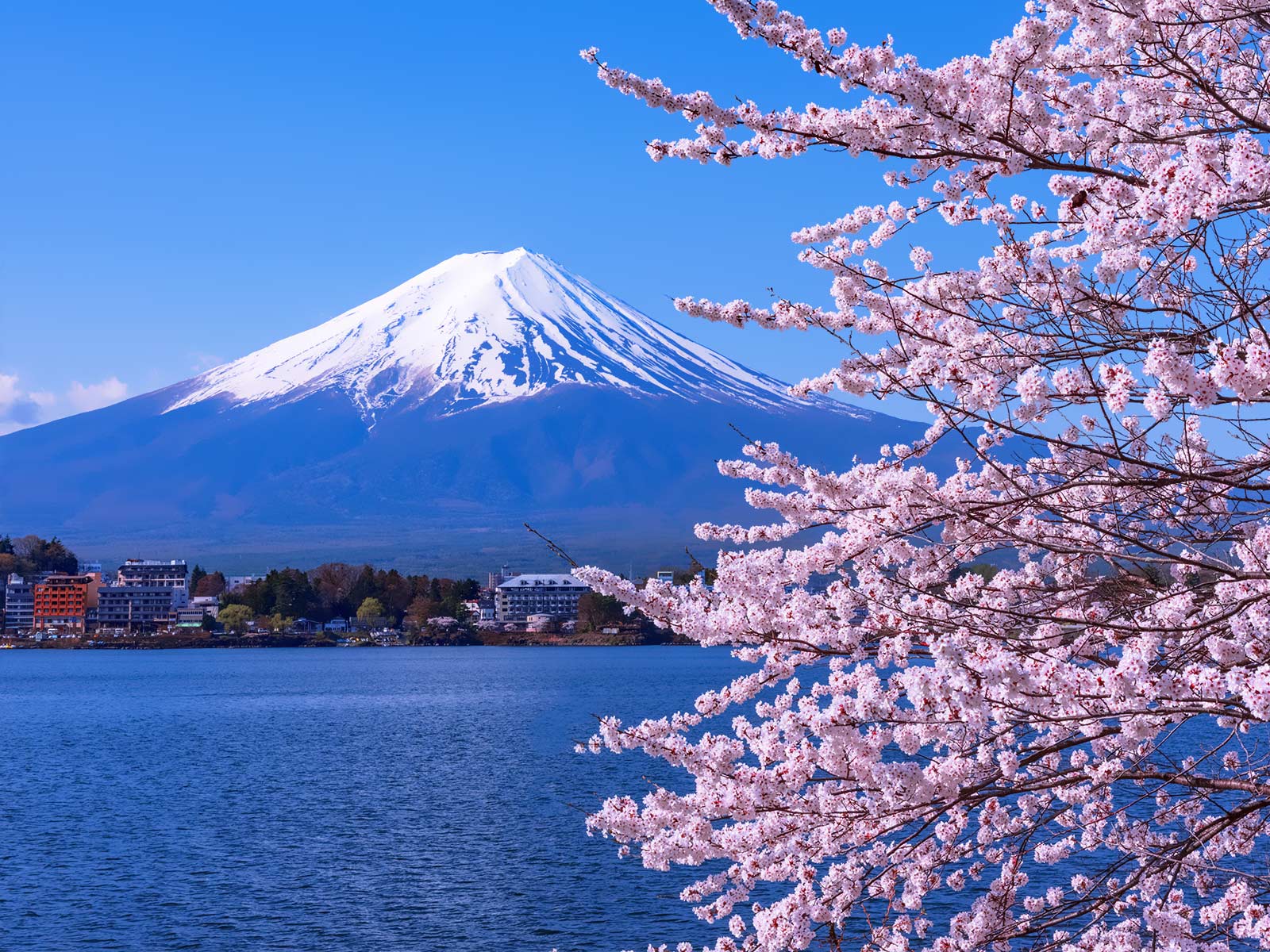 春の富士山