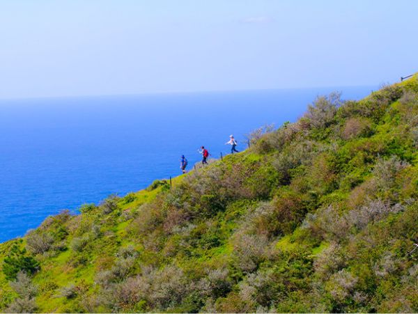 天空ウォーキング