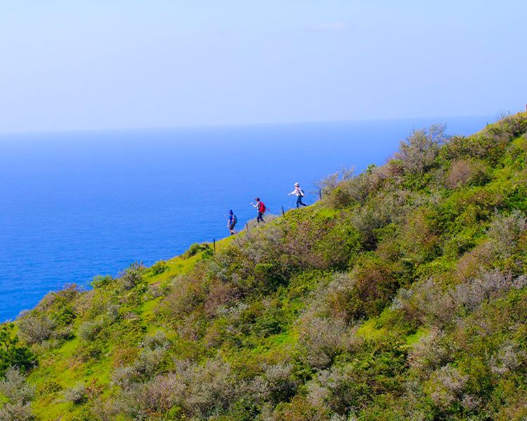 天空ウォーキング