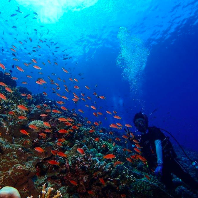 ココオーシャン しまんちゅガイドと行く少人数制ダイビング