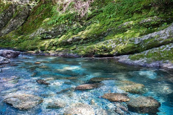 仁淀川（によどがわ）