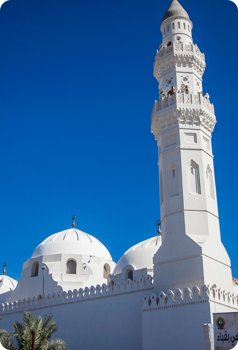 メディナ観光周遊バス