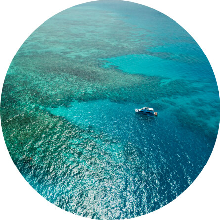 グレートバリアリーフ