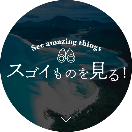 スゴイものを見る!