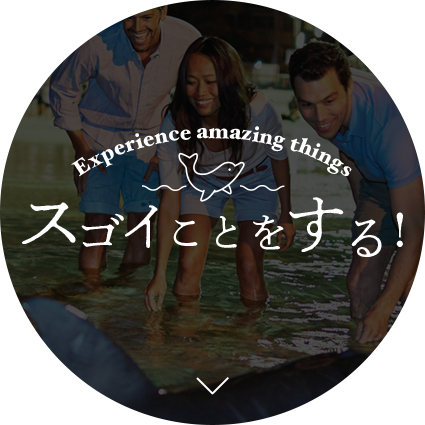 スゴイことをする!