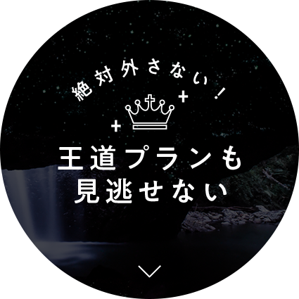 王道プランも 見逃せない