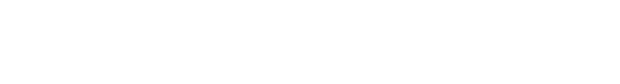 野生のイルカへ餌付け体験 < ゴールドコースト or ブリスベン発 > 