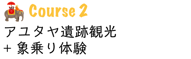 世界遺産アユタヤ遺跡観光+象乗り体験