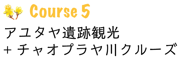 世界遺産アユタヤ遺跡観光+チャオプラヤ川