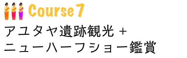 世界遺産アユタヤ遺跡観光+ニューハーフショー