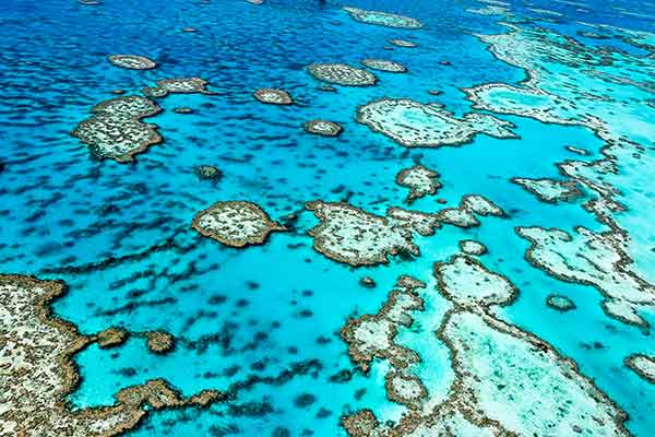 グレート・バリア・リーフ