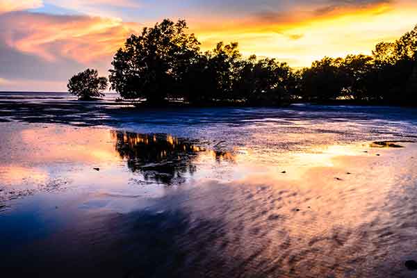 カカドゥ国立公園