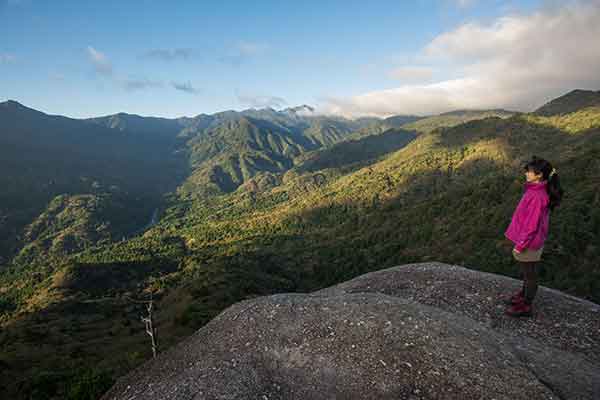 屋久島・縄文杉
