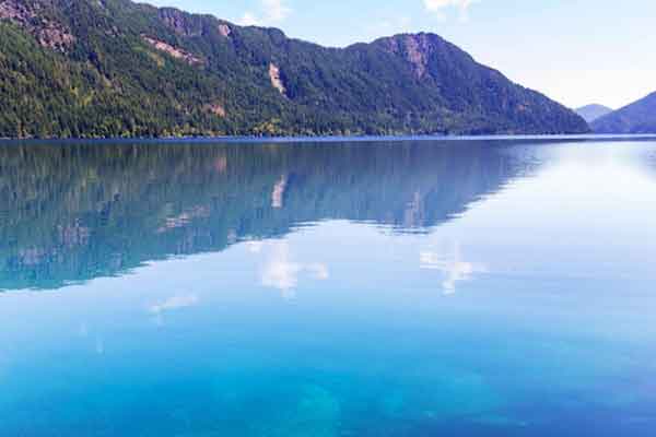 ヨセミテ、レッドウッド、オリンピック国立公園