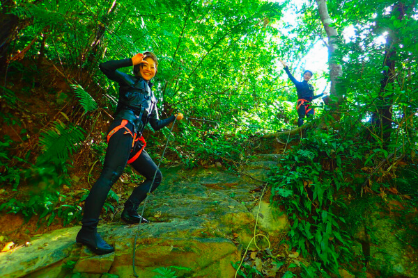 奄美大島、徳之島、沖縄島北部及び西表島
