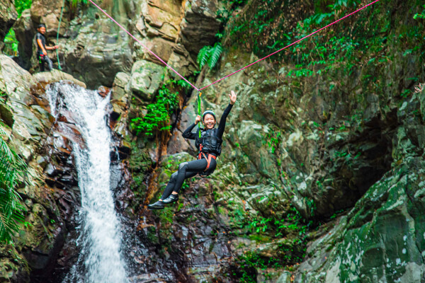 奄美大島、徳之島、沖縄島北部及び西表島