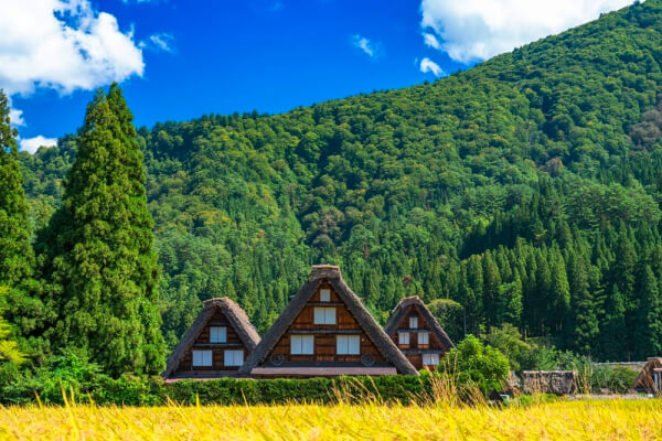 白川郷・五箇山の合掌造り集落