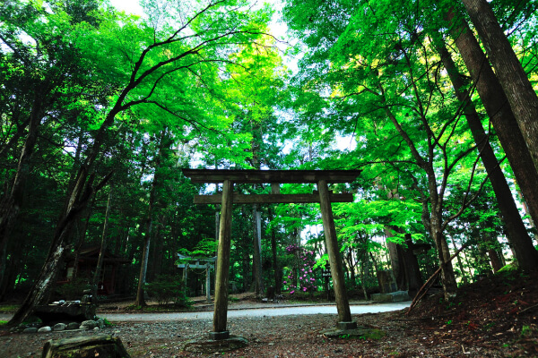 紀伊山地の霊場と参詣道