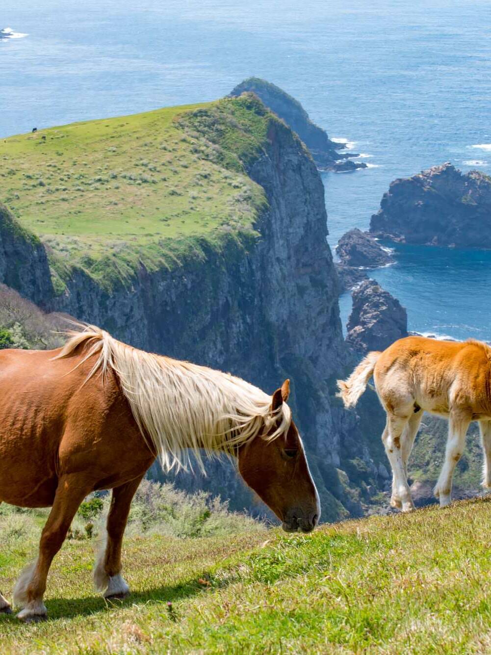 隠岐諸島 西ノ島 国賀海岸