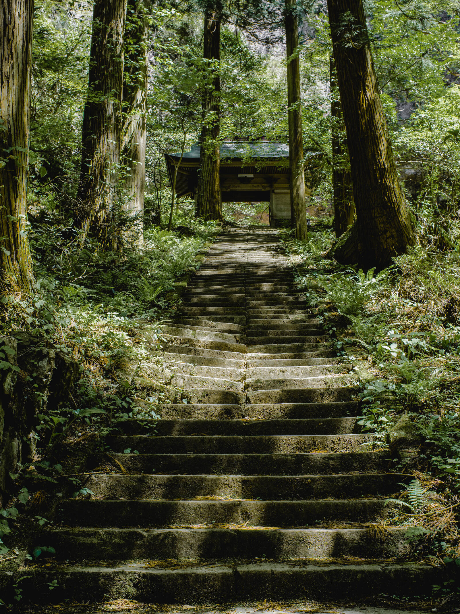 隠岐諸島 神社