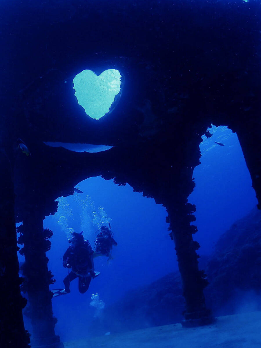 与論島 ダイビング