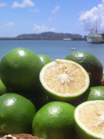 特産品 小笠原島レモン