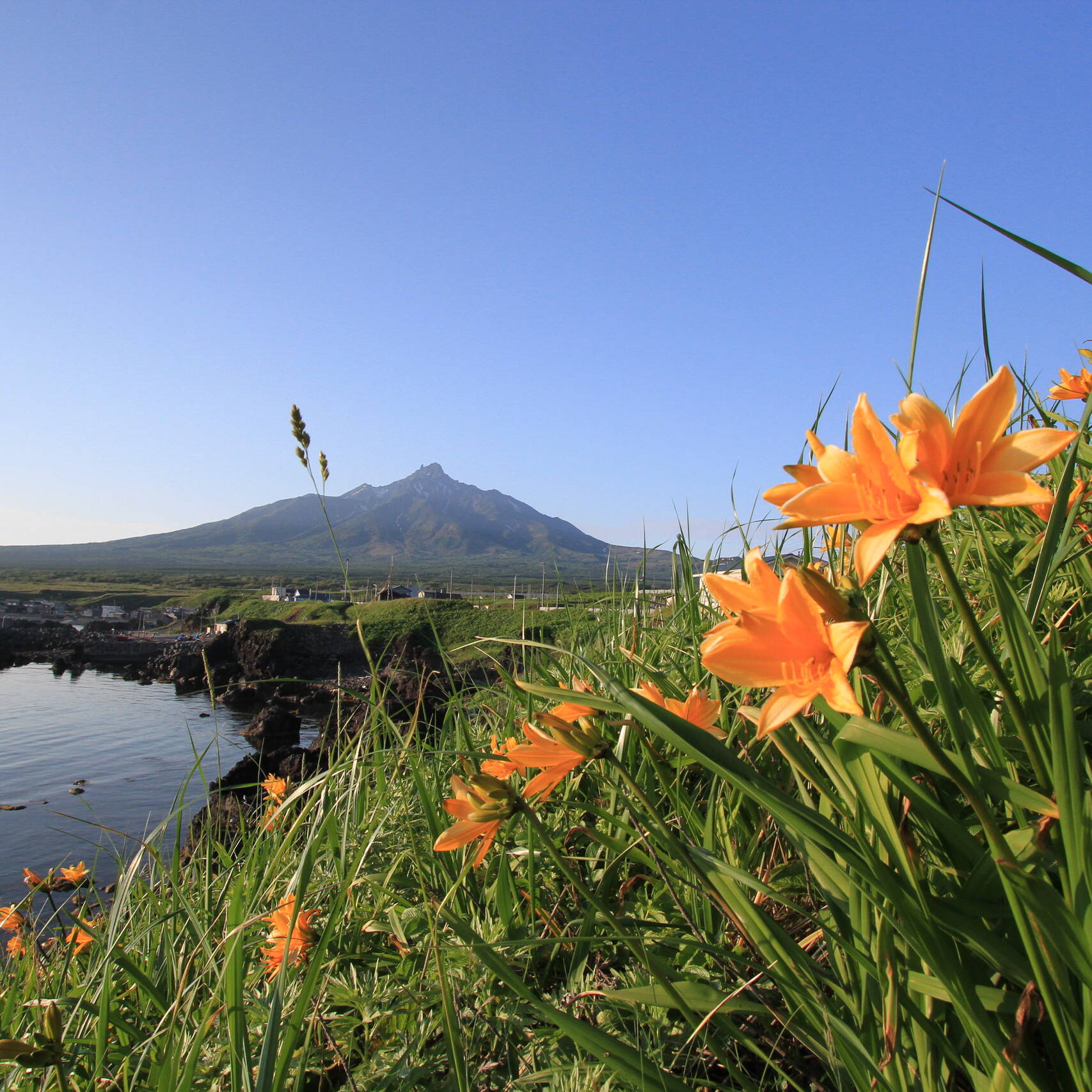 利尻島 利尻富士