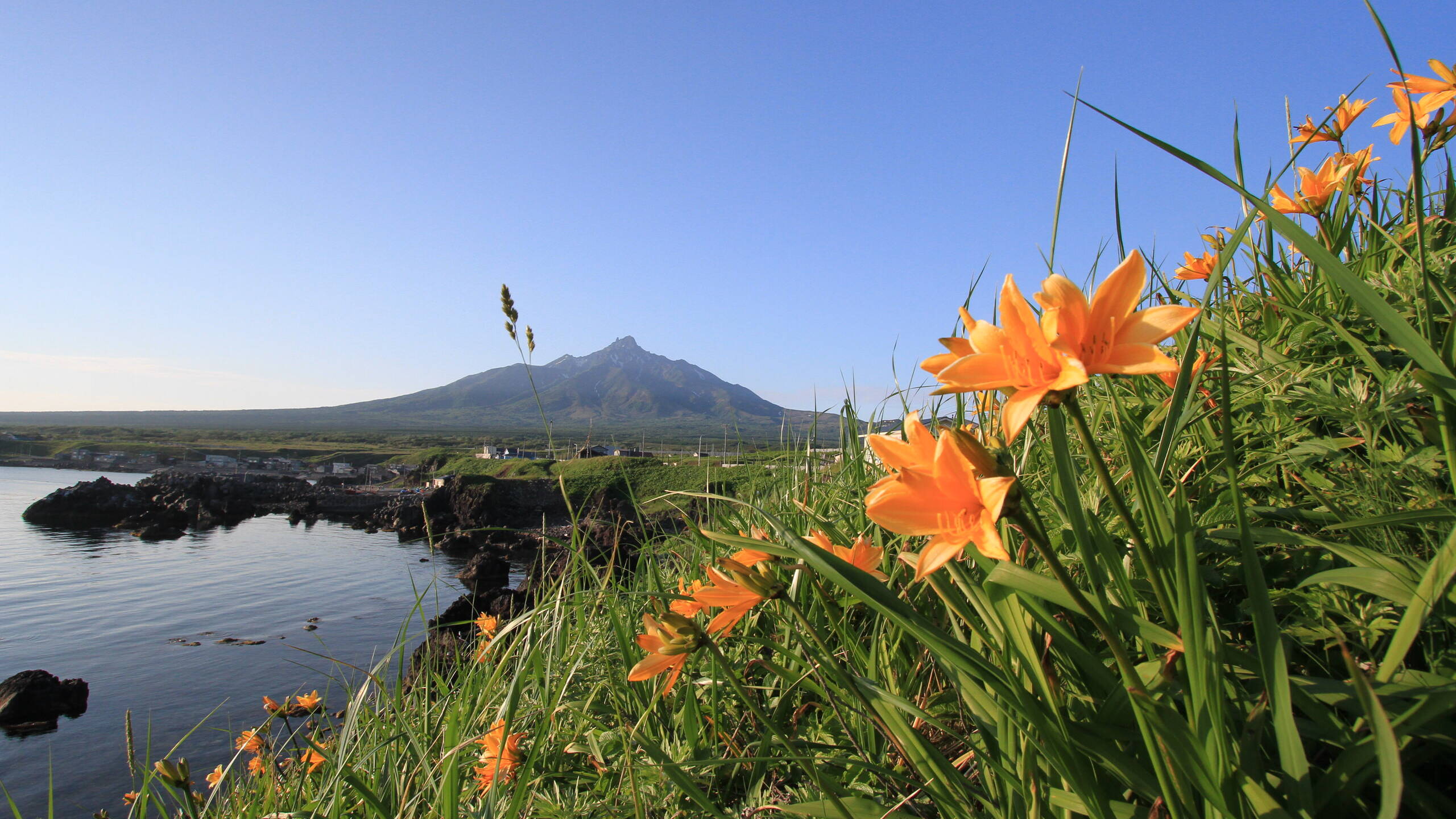 利尻島 利尻富士