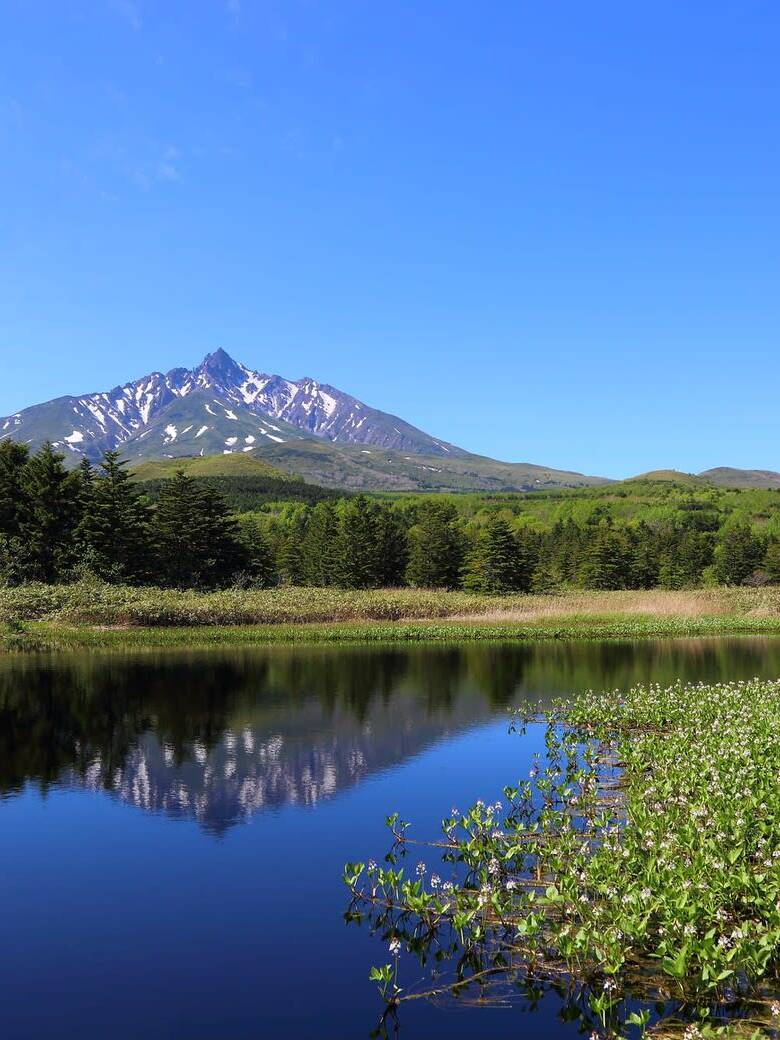 利尻富士を望む南浜湿原 トレッキング