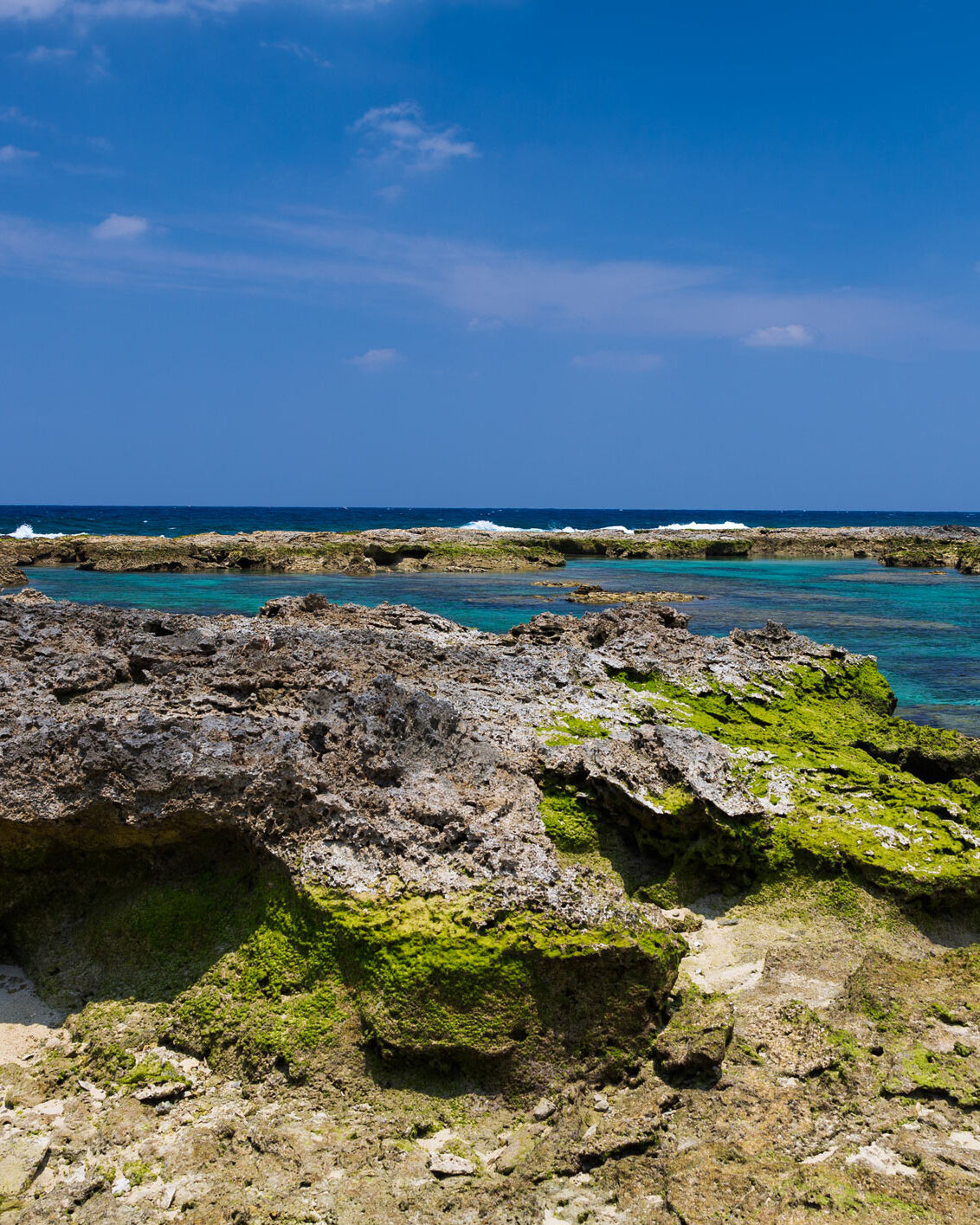 隆起性サンゴ礁でできた喜界島