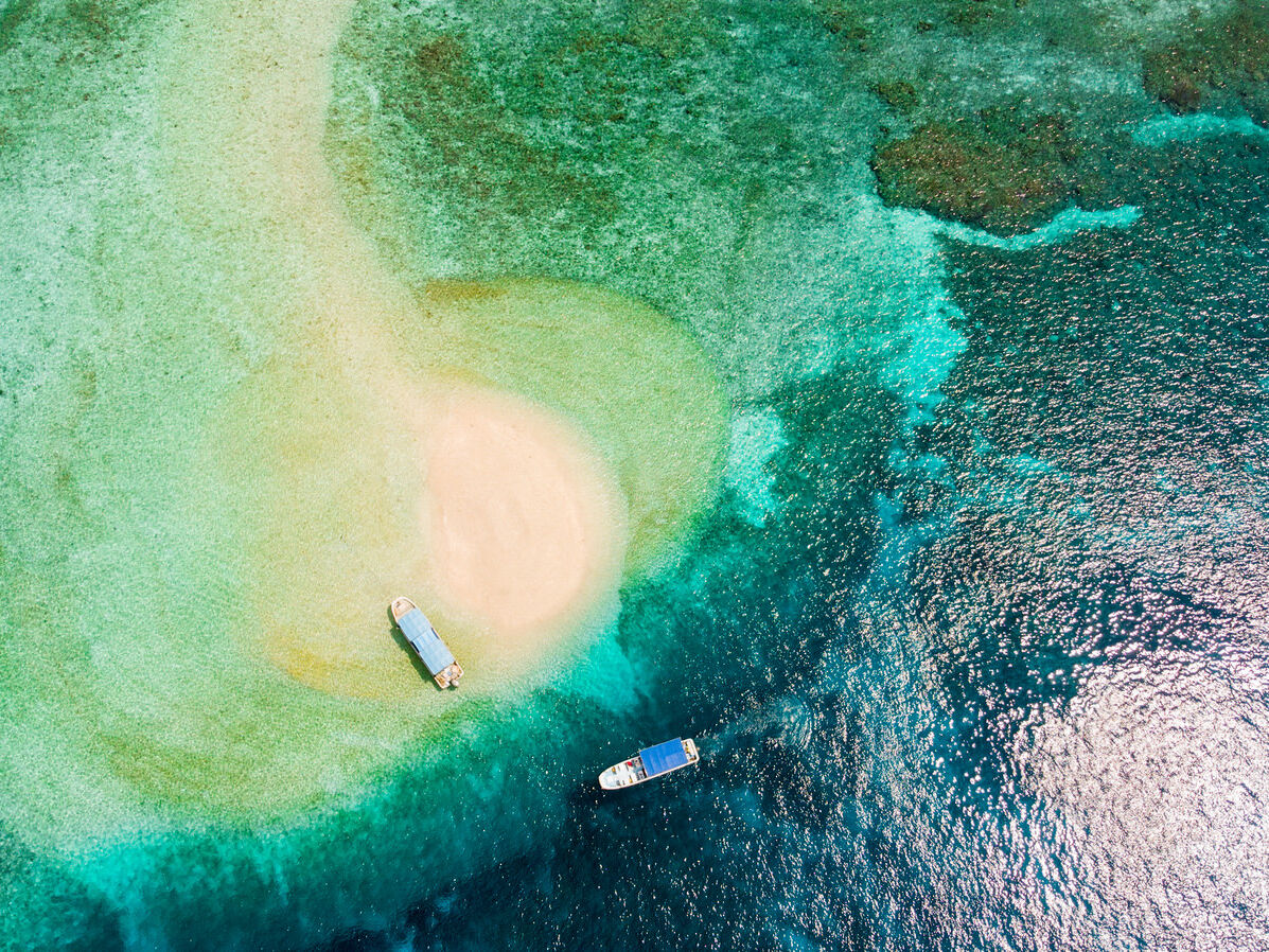 控えめに言って最高でした!!