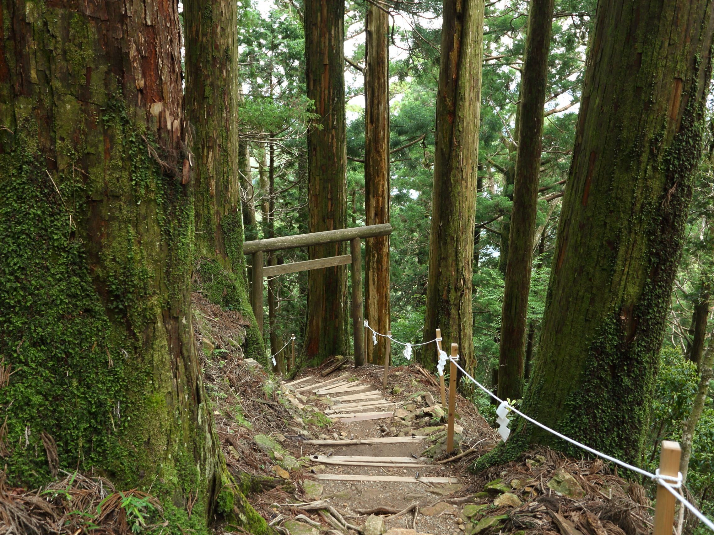 世界遺産 熊野三山奥の院 玉置神社