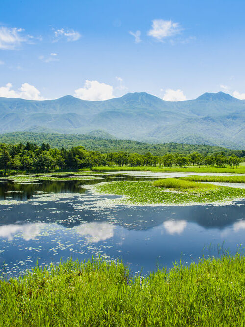 世界遺産知床五湖全周or知床一湖・二湖をゆっくりと ベテランガイドと行くウォーキングツアー