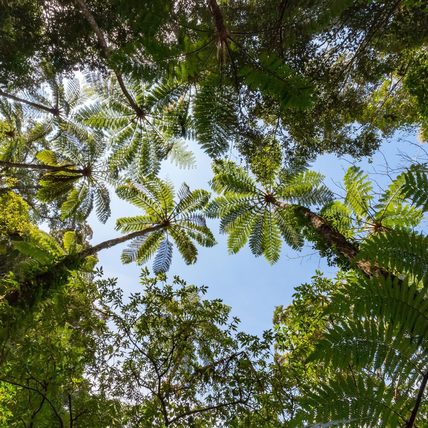 奄美群島国立公園