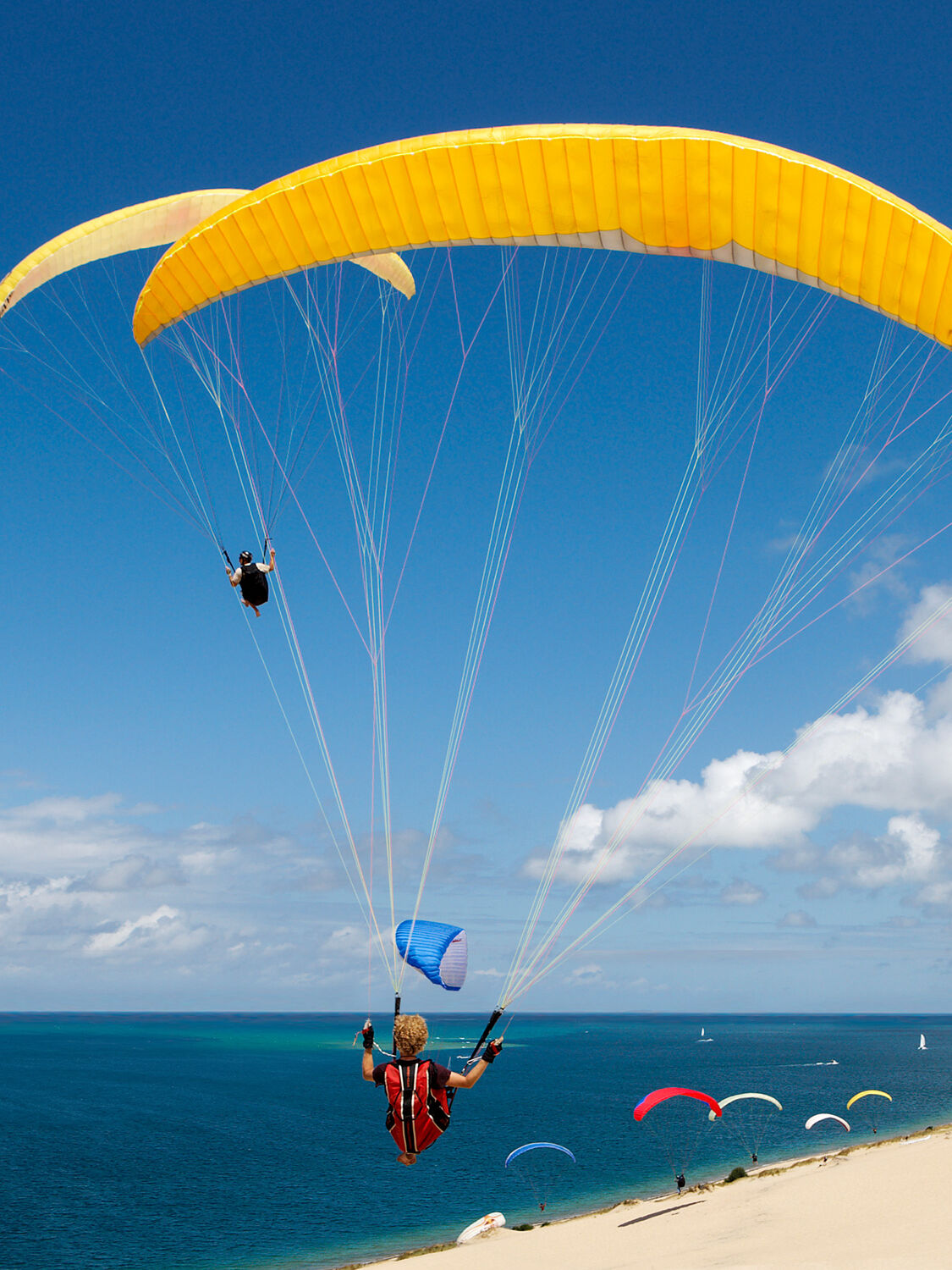 山陰海岸ジオパークを堪能！ 鳥取砂丘 パラグライダー体験