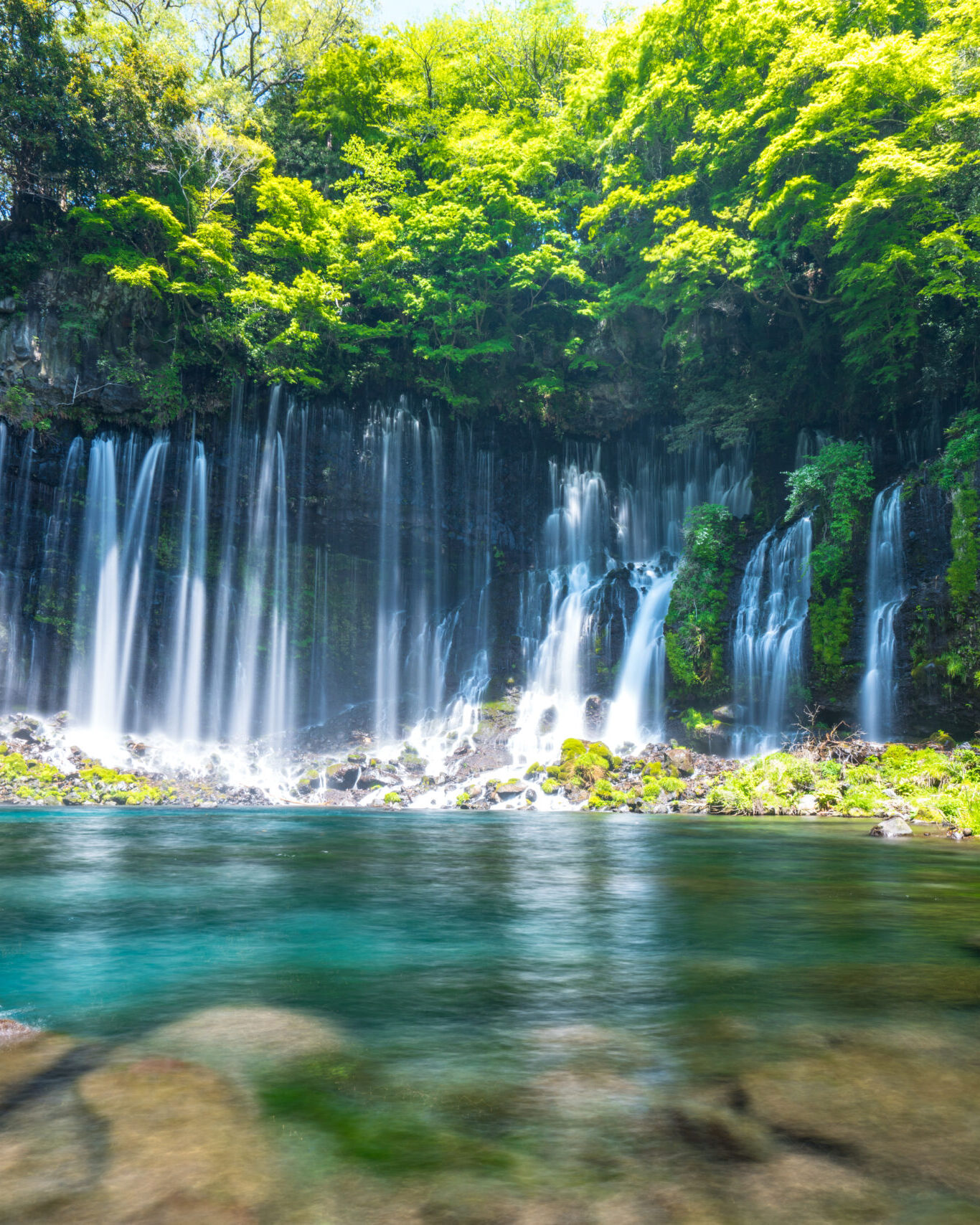 富士箱根伊豆国立公園 富士山麓グランピング