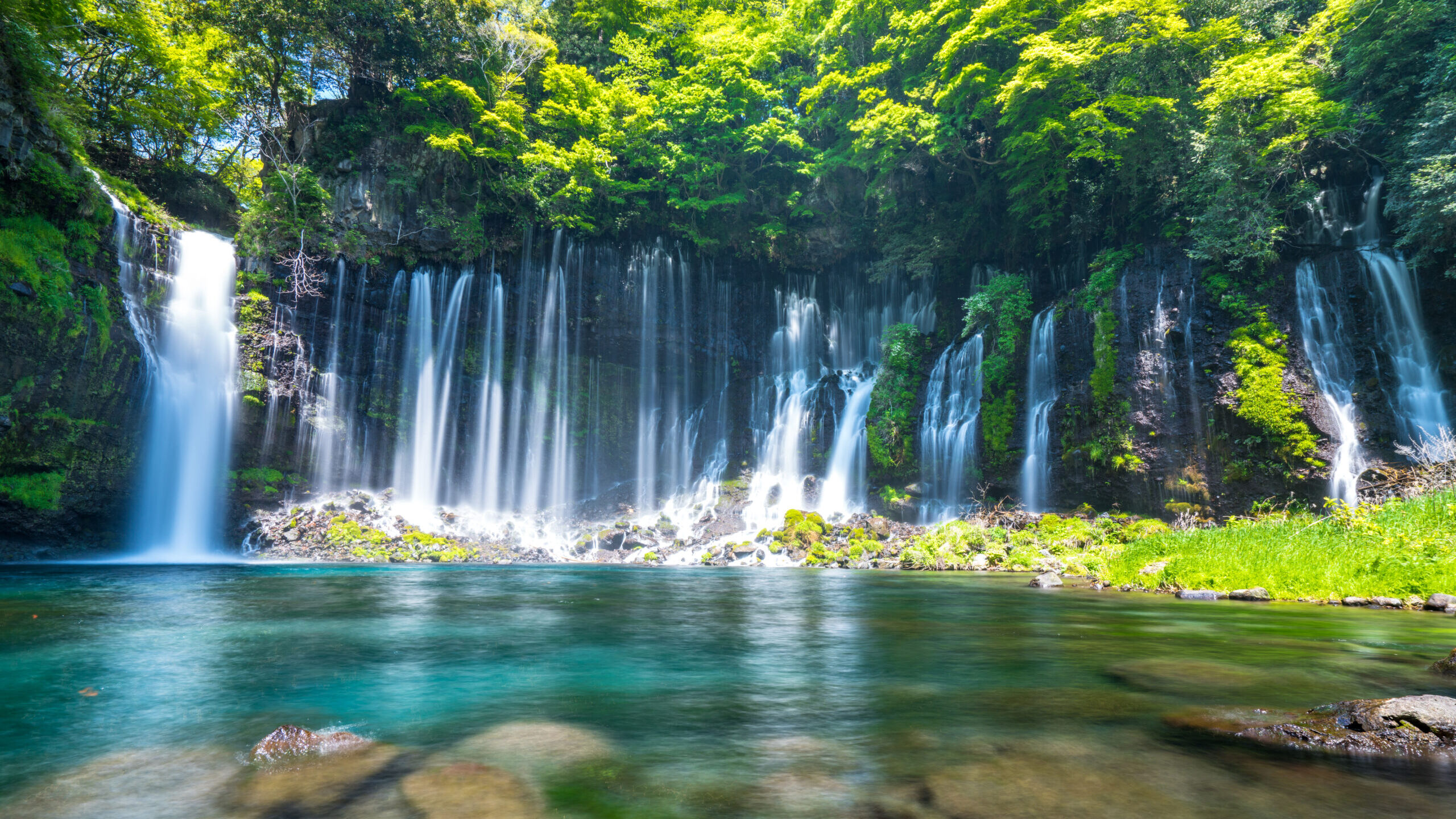 富士箱根伊豆国立公園 富士山麓グランピング