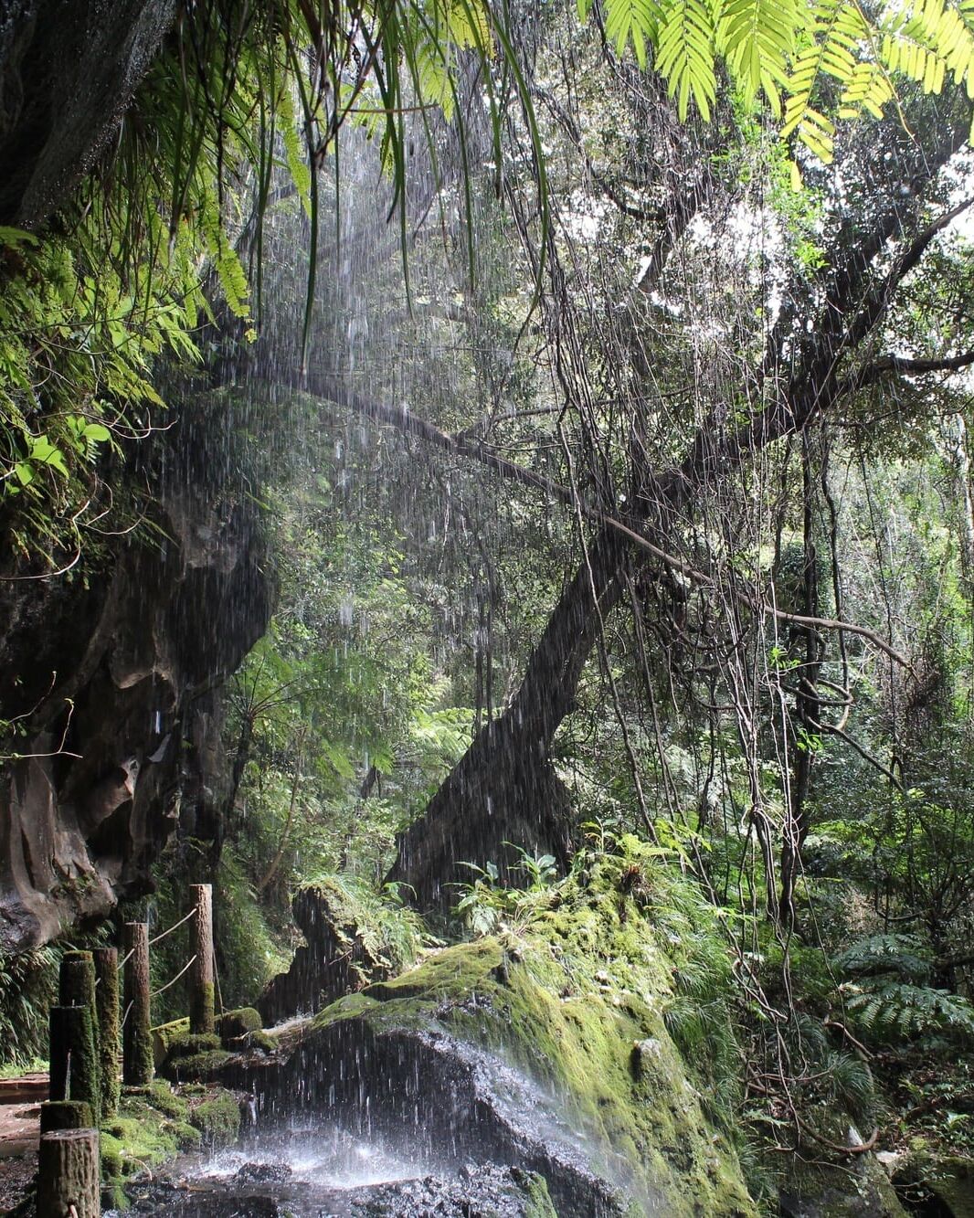 八丈島　裏見ケ滝