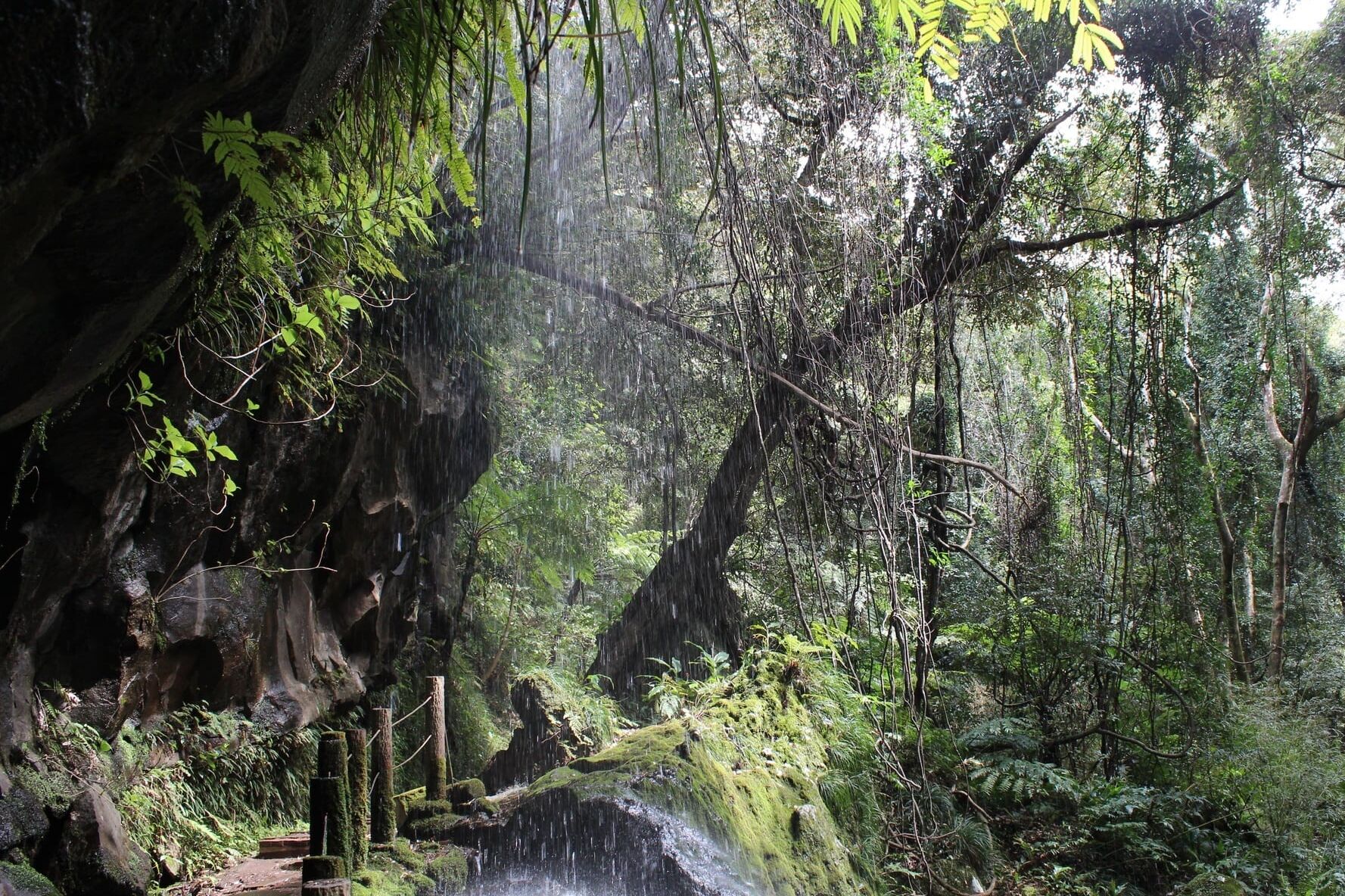八丈島　裏見ケ滝