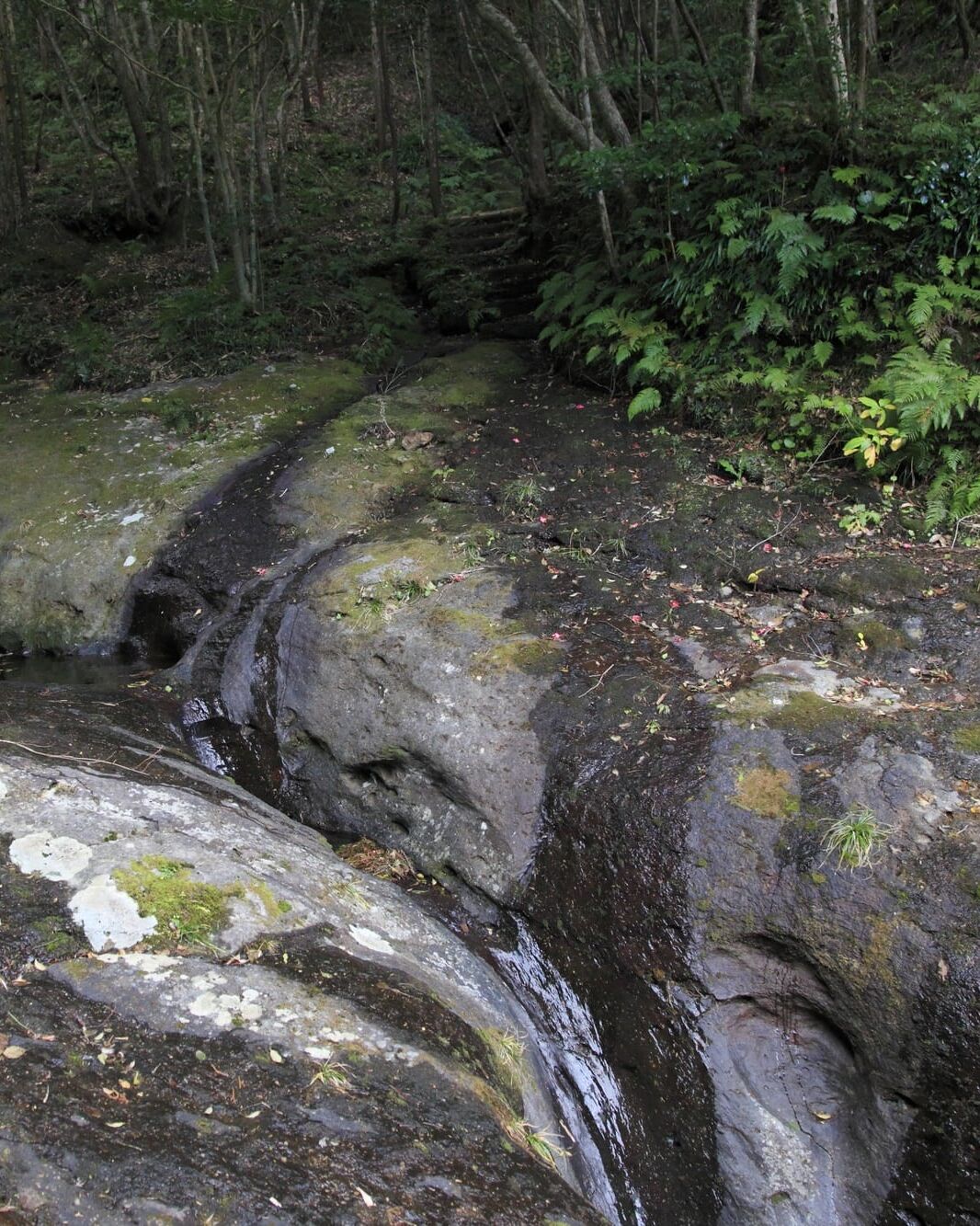 八丈島　ポッドホール