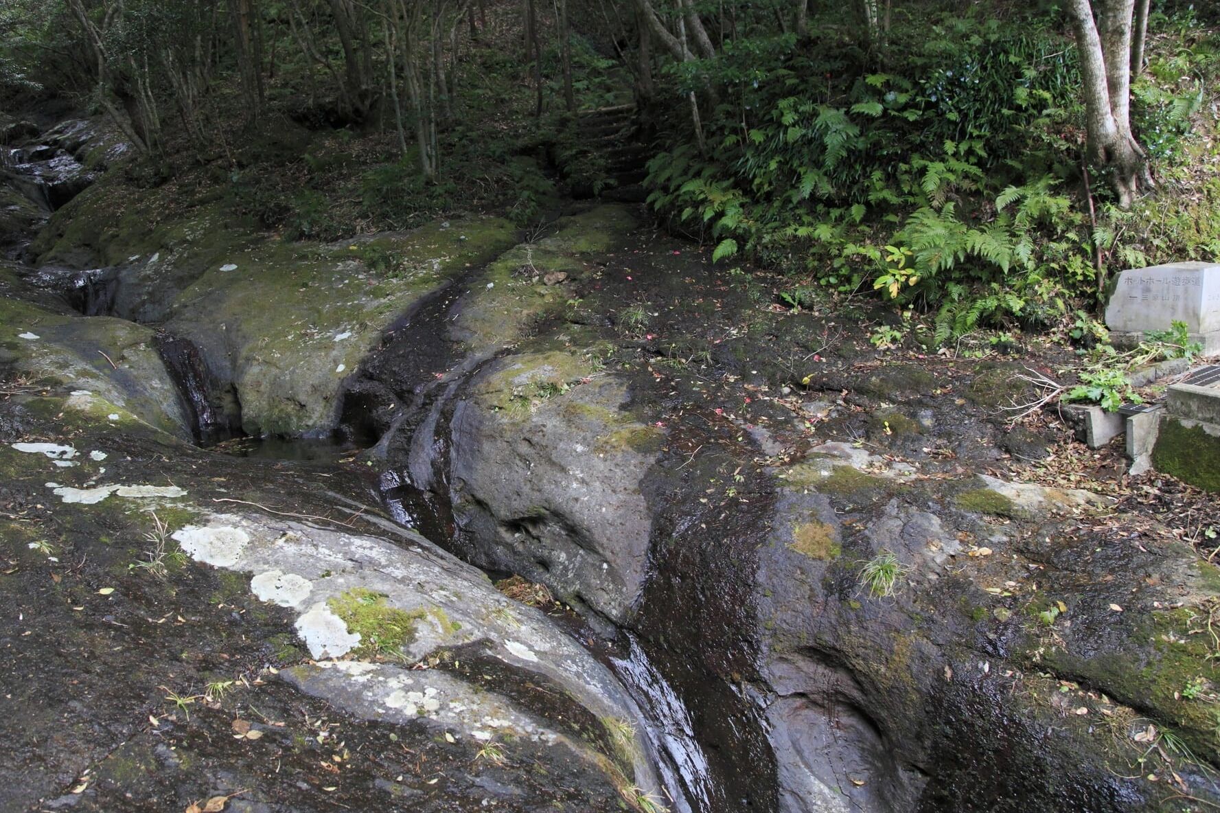 八丈島　ポッドホール