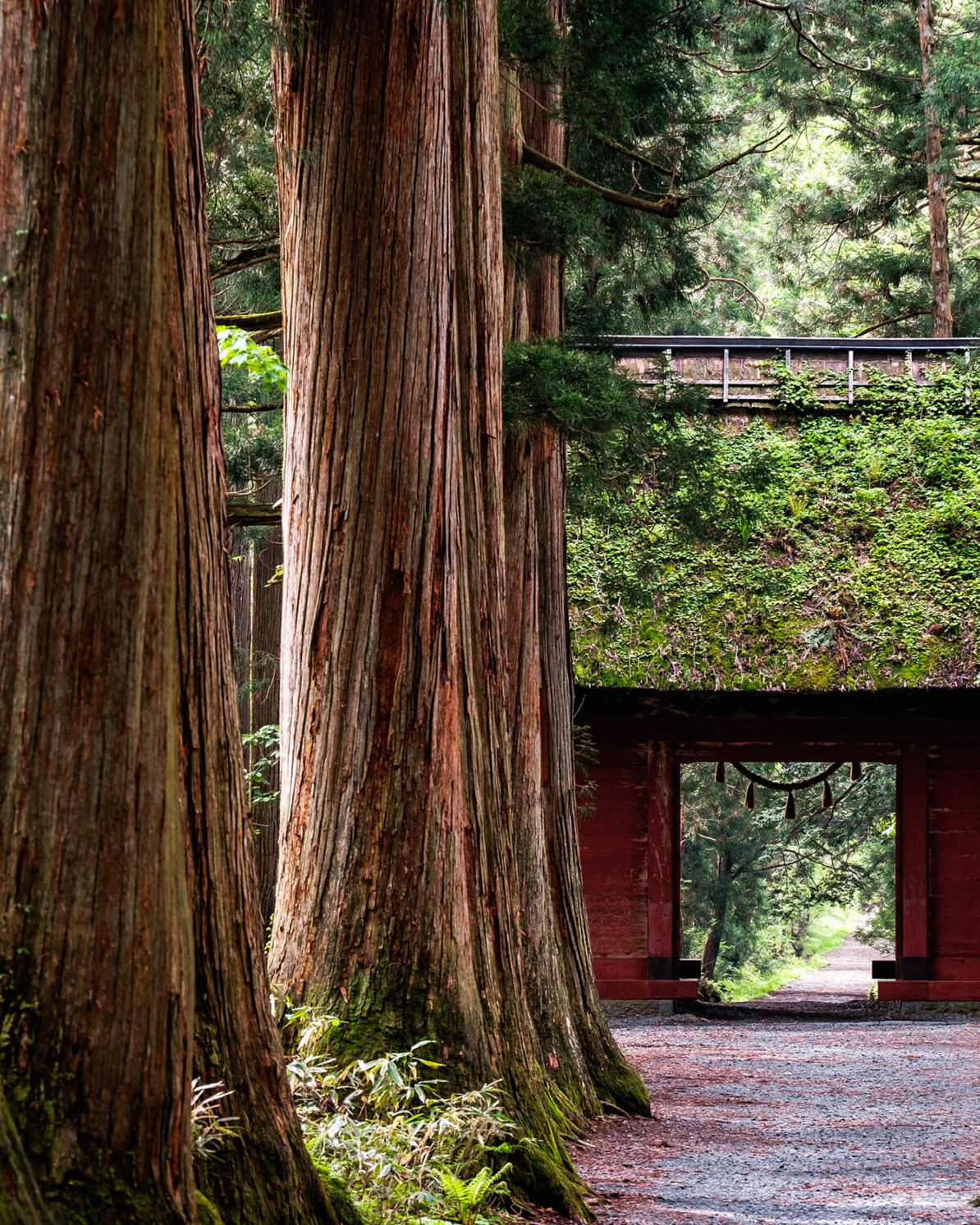 妙高戸隠連山国立公園　戸隠神社