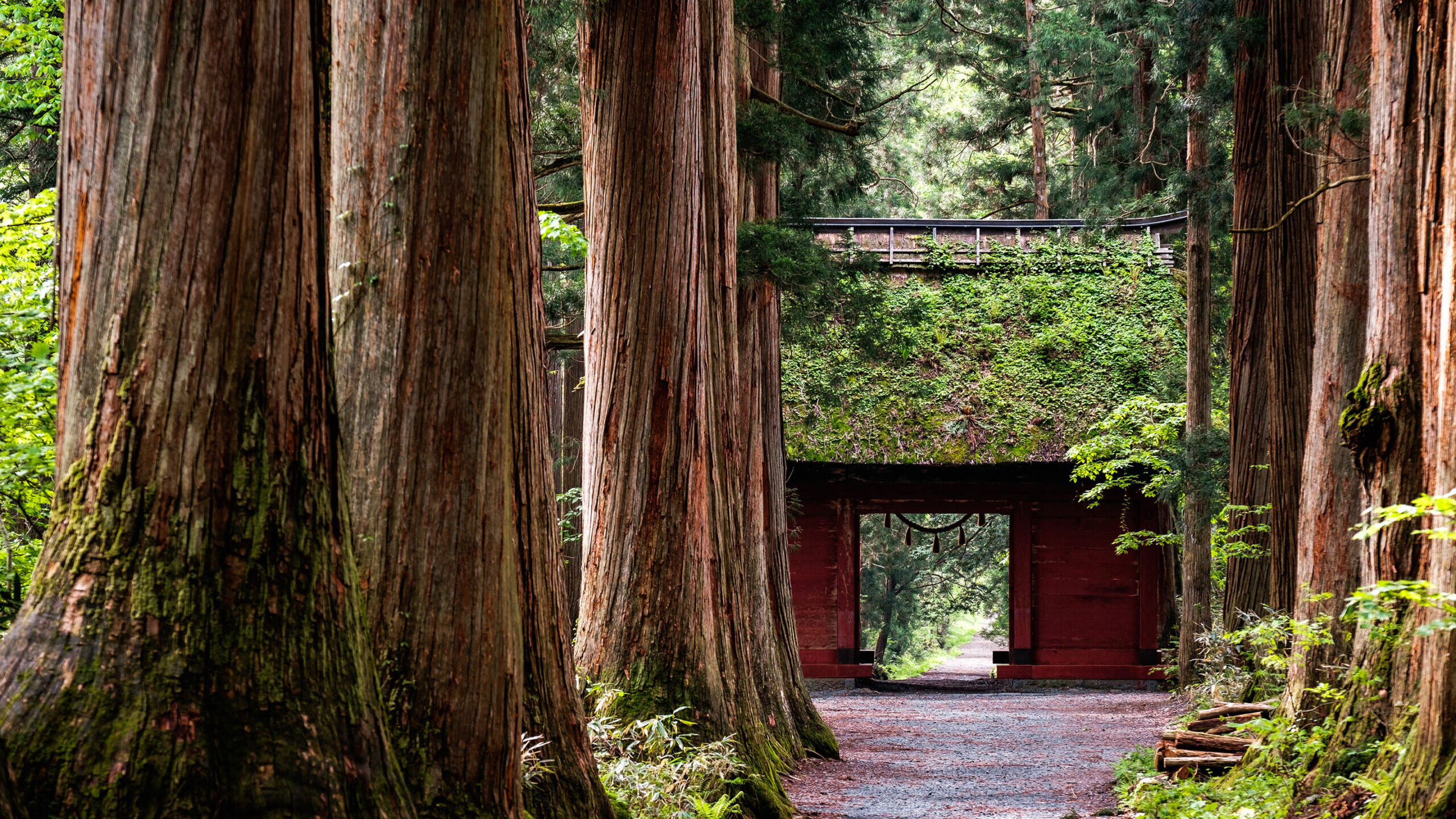 妙高戸隠連山国立公園　戸隠神社