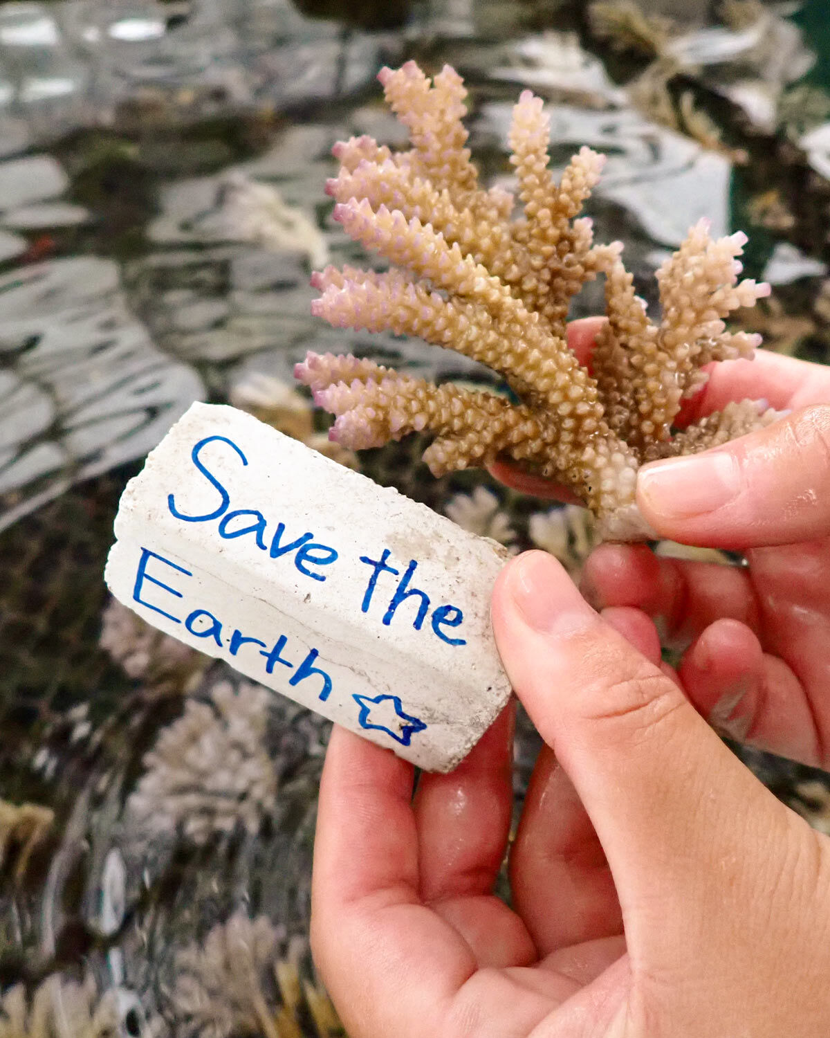 沖縄海岸国定公園 恩納村の自然と歴史・地域文化体験