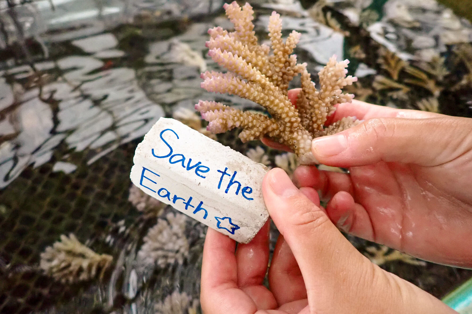 沖縄海岸国定公園 恩納村の自然と歴史・地域文化体験