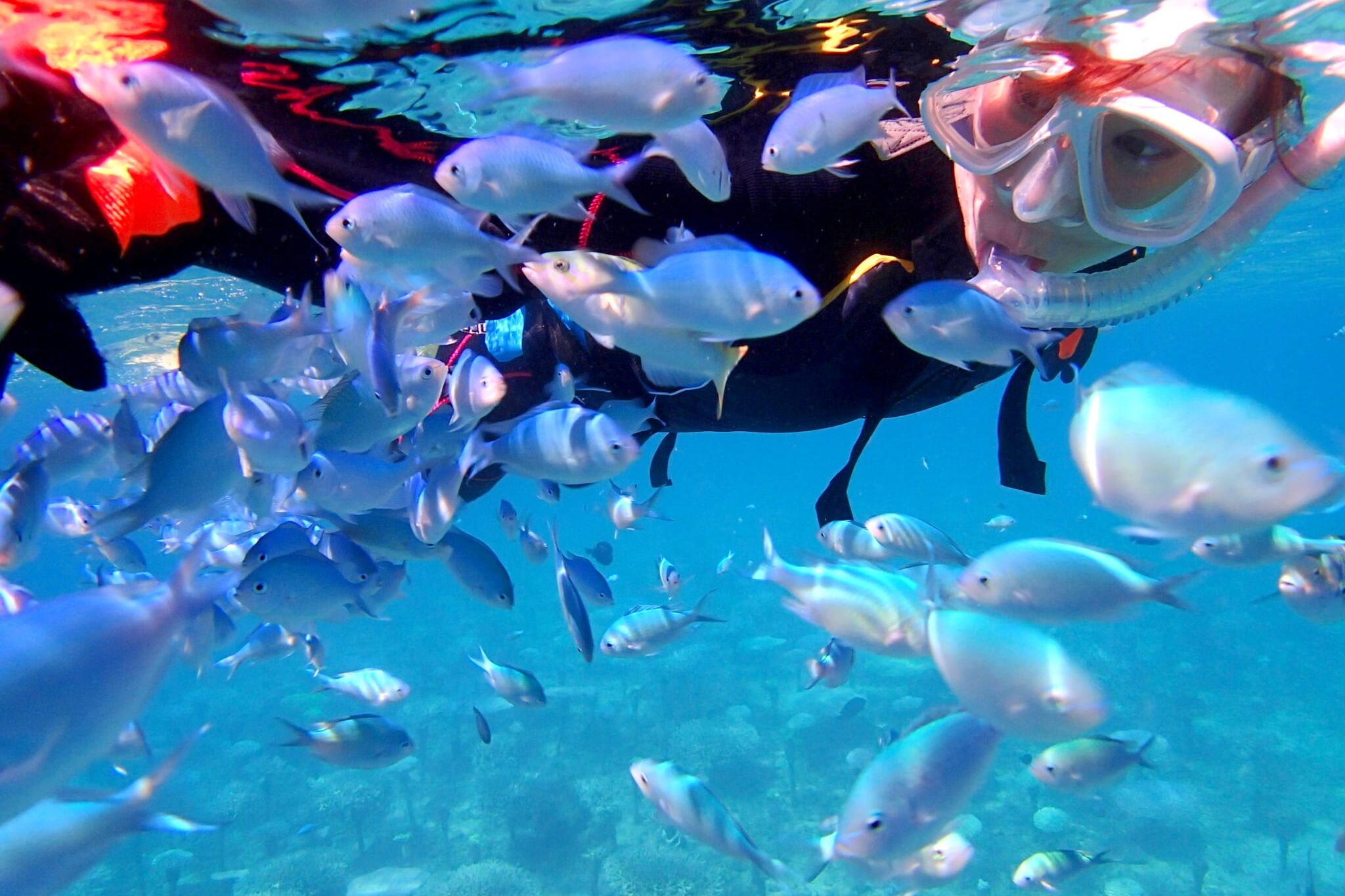 沖縄海岸国定公園 恩納村の自然と歴史・地域文化体験