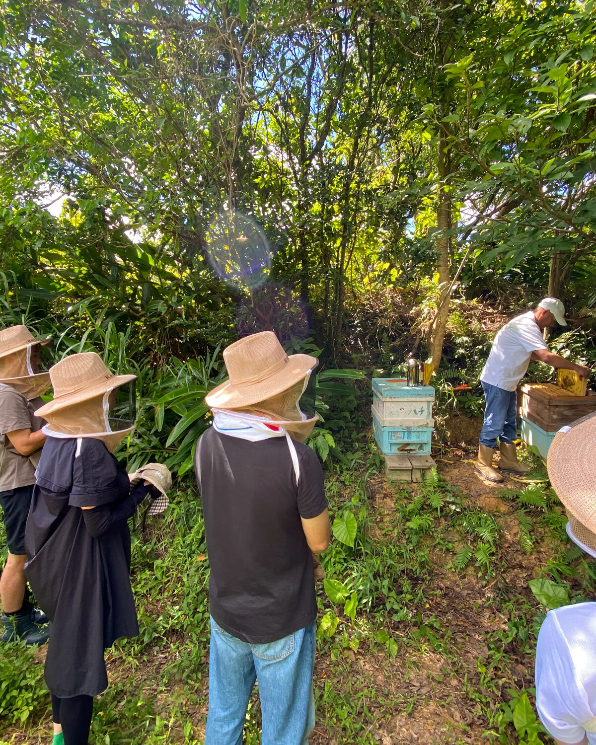 沖縄海岸国定公園 恩納村の自然と歴史・地域文化体験