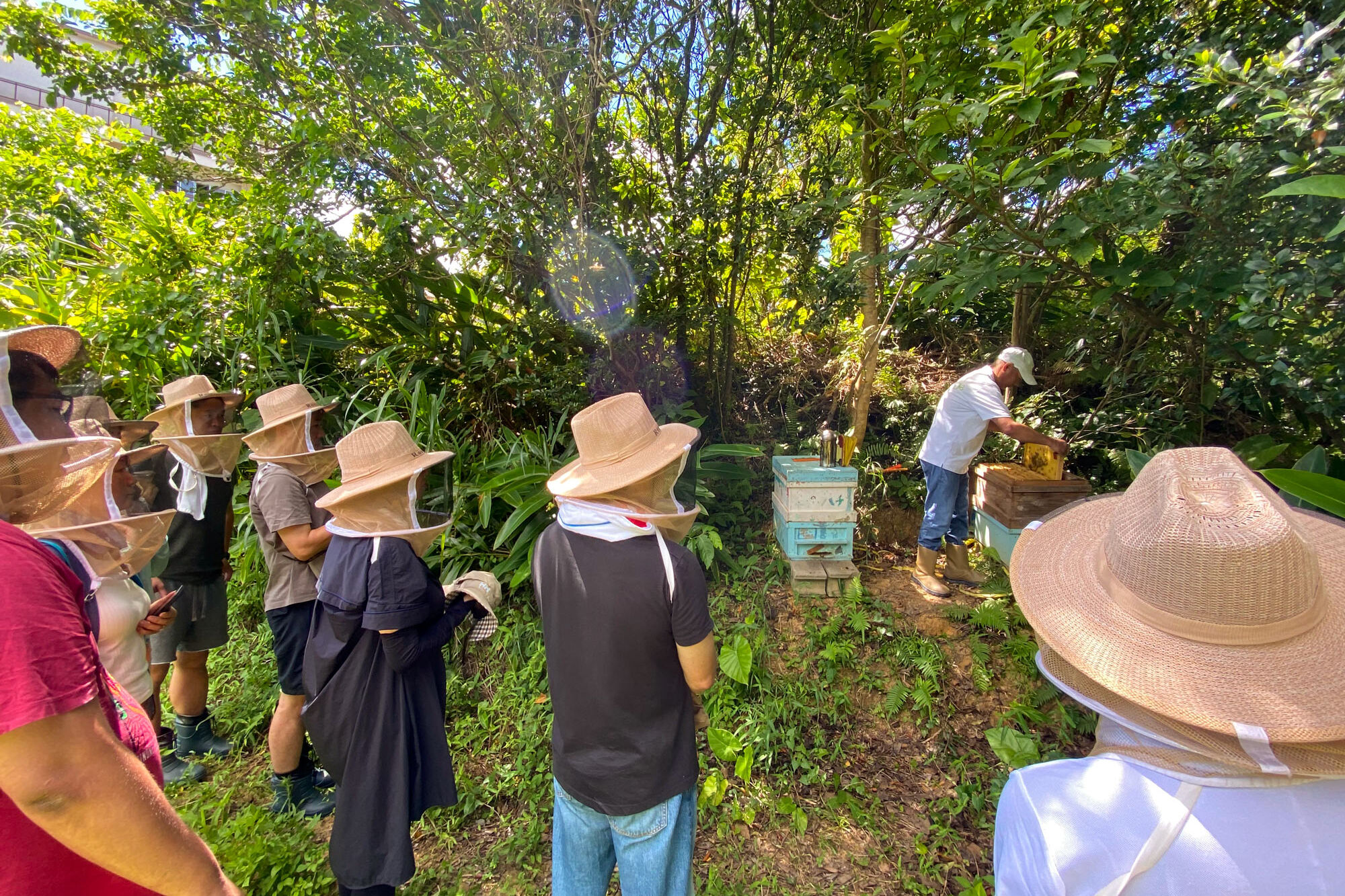 沖縄海岸国定公園 恩納村の自然と歴史・地域文化体験