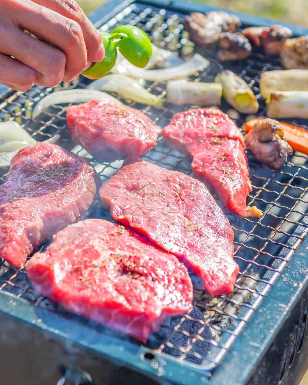 中部山岳国立公園 北アルプス小谷村キャンプ